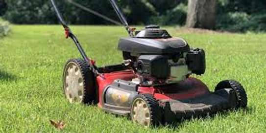 Lawn Mowing And Garden Services | Request your free, no-obligation grass cutting quotation now image 2