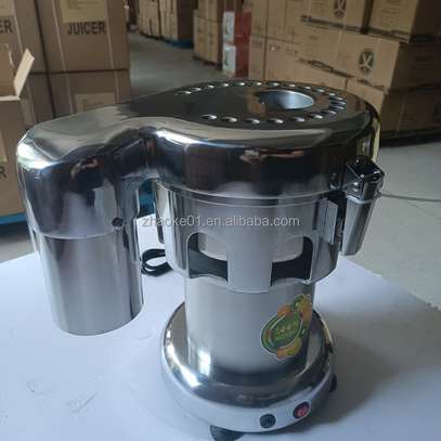 Fruit And Vegetables Commercial Juice Extractor Heavy Duty image 1