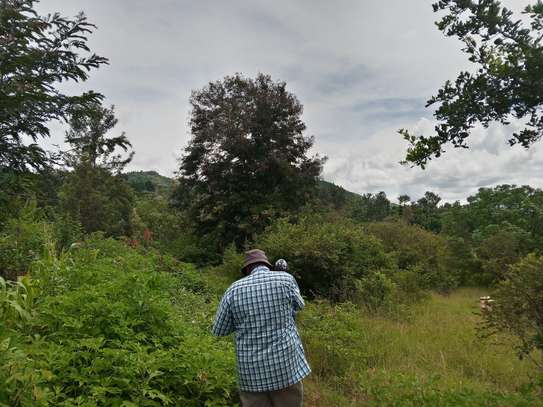 Prime Fertile Land in Ithanga, Murang'a, Near Kakuzi image 4