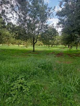 0.5 ac Land at Thika Grove Chania-Opposite Blue Post Hotel image 7