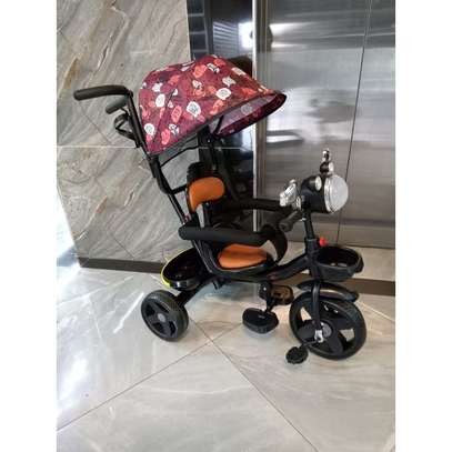 Generic Push Tricycle With Canopy Protective Bar image 2