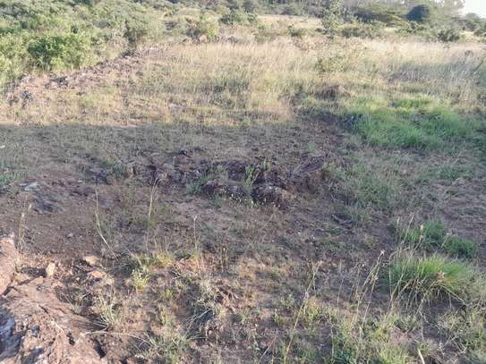 PARK VIEWING LAND image 1