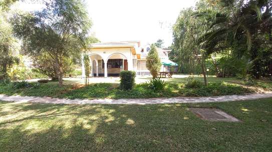 5 bedroom house for rent in Nyari image 19
