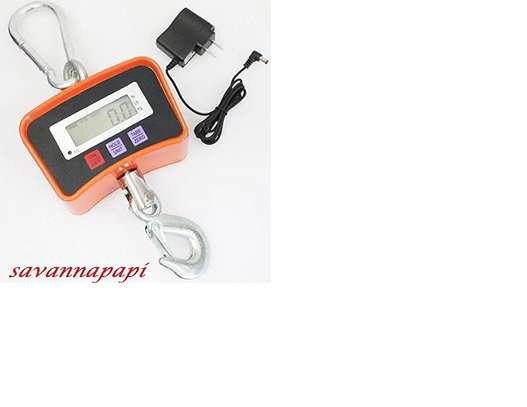 Electronic Crane Weighing Scale 500kg/200g image 1