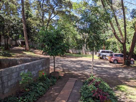 Residential Land at Peponi Rd image 15
