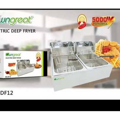 WNGREAT Commercial Double Stainless Fryer 12LITRES image 1