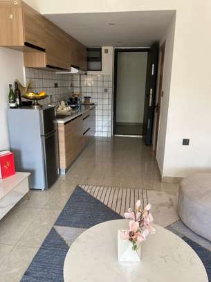 Serviced Studio Apartment with En Suite in Ruaraka image 5