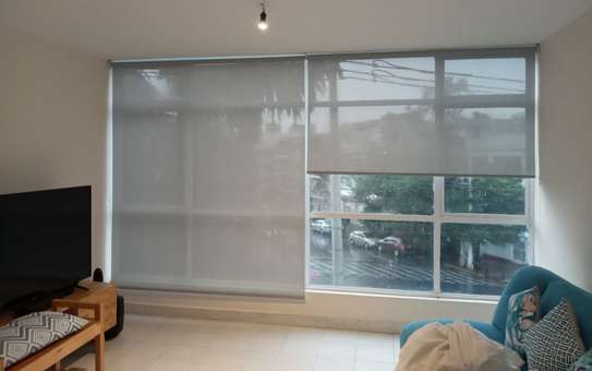 SUNSCREEN OFFICE/HOME BLINDS image 1