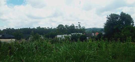 Prime Residential plot for sale in kikuyu, ondiri image 8