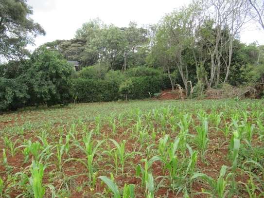 Residential Land at Karen Hardy image 7