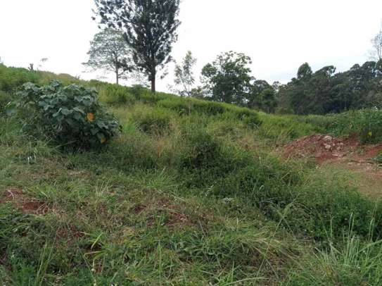0.5 ac Residential Land at Nyari image 13