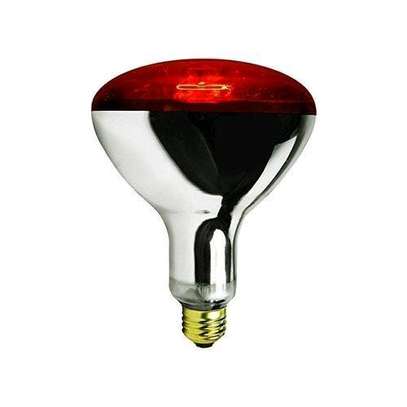 250 W AC infrared brooder heat bulb,ceramic adaptor holder image 3