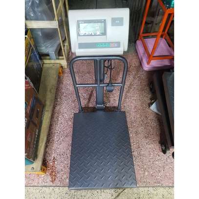 Generic 300kgs Platform Weighing Scale -A12 image 1