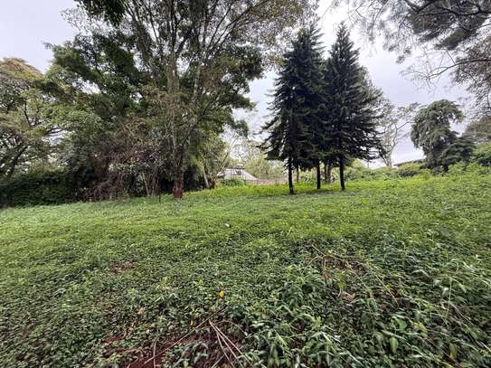 5 ac Land in Kitisuru image 3