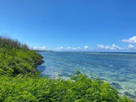 22 ac Land at Tiwi Beach image 10