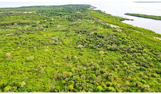 Residential Land in Diani image 7