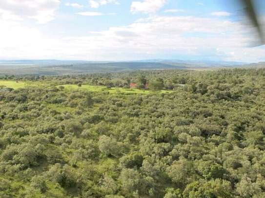 1 ac Land in Naivasha image 7