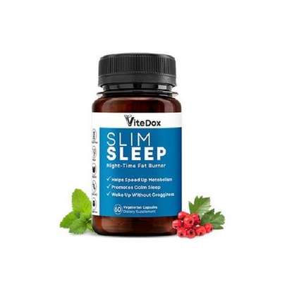ViteDox Slim Sleep- Night-time Fat Burner image 1