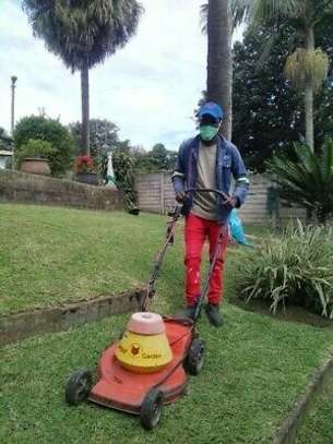 Gardening Services Nairobi,Nakuru Mombasa Thika image 1