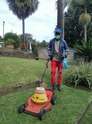 Wolf cyclone 2000 lawn mower on sale