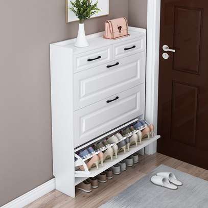 Modern Shoe Storage Cabinet image 6