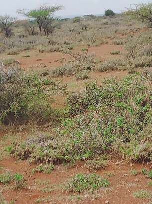 Land for Sale image 1
