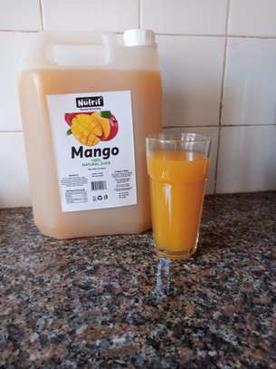 Nutrit® Mango Juice*5L*Preserved Natural Juice image 1