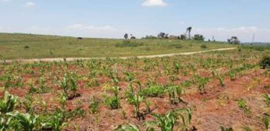 1/8 Acre Fully Serviced Plots Thika Greens Golf Resort image 2