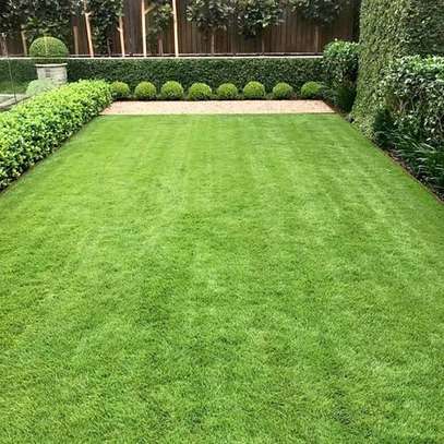 Artificial Grass Carpet Always Perfect for beauty image 3