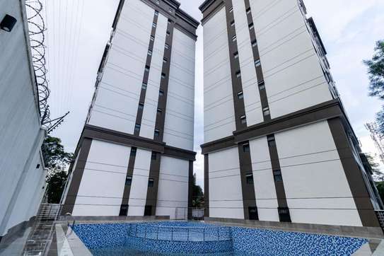 Furnished 2 Bed Apartment with Swimming Pool in Riverside image 16