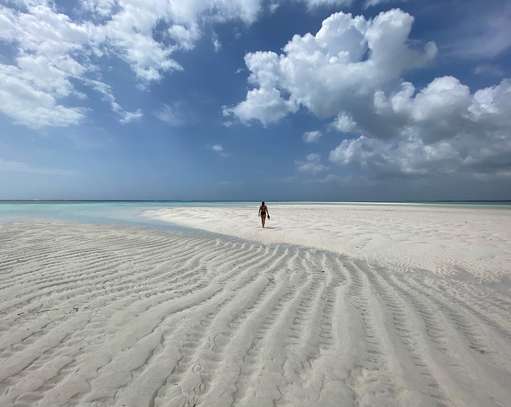 Land in Watamu image 11