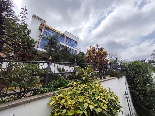 7 Bed Townhouse with En Suite in Nyari image 11