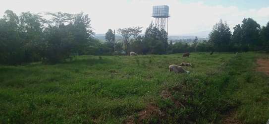 Prime Residential plot for sale in Kikuyu , kamangu image 6