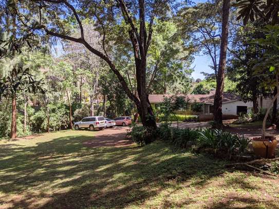 Residential Land at Peponi Rd image 4