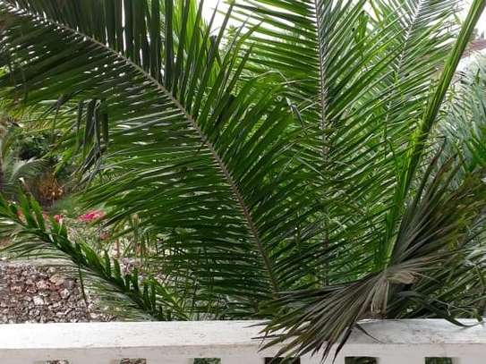 4 Bed House with En Suite at Near Serena Hotel image 6