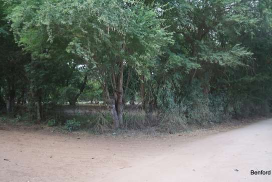 Land in Kikambala image 2