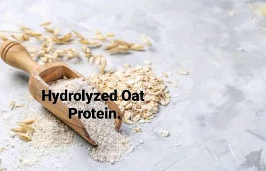 Hydrolyzed Oat Protein image 1
