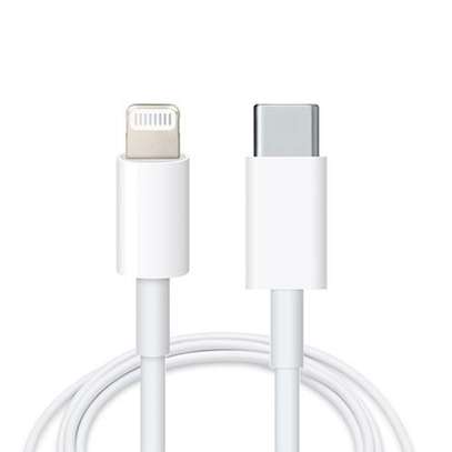 Type C To Lightning Cable for iPhone, iPad, Mac, iPod image 1
