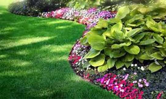 Best Landscaping & Gardening Services-Nakuru Experts image 8