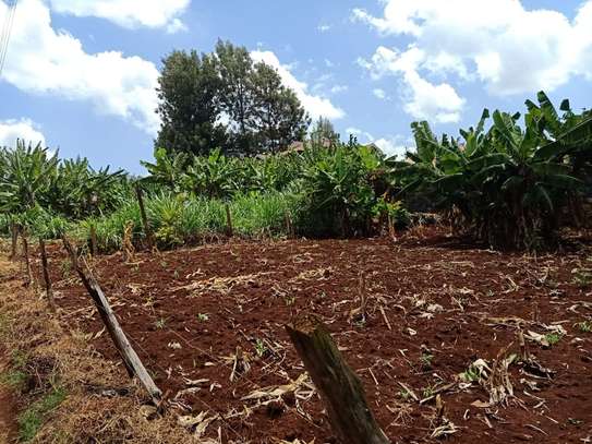 0.13 ac land for sale in Ruaka image 8