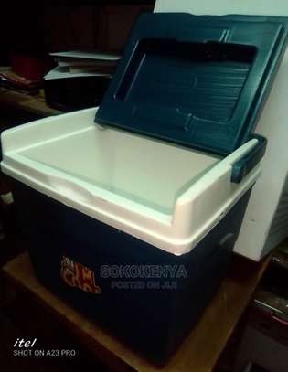 Cool Box 8 Litre for Small Scale Fish Storage image 1