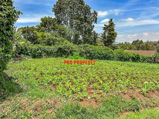 0.05 ha Commercial Land in Kikuyu Town image 10