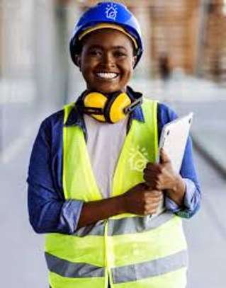 Home Inspection:Don't Buy Until We Inspect your house image 3
