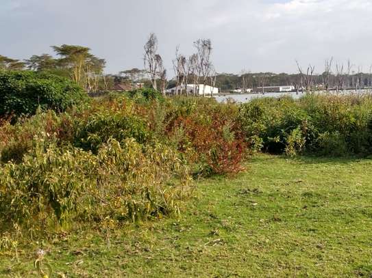 Land in Naivasha image 8
