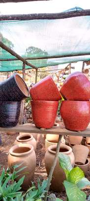 Beautiful Clay flower pots and Flowers image 1