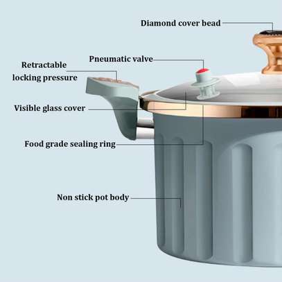 Roman Micro Pressure Cooker image 2