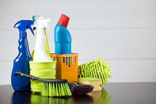 Hire A Nanny In Nairobi-Cleaning & Domestic Services image 2