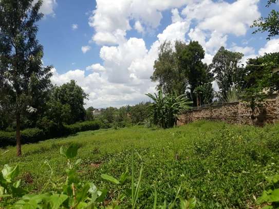 0.5 ac Residential Land in Thome image 6