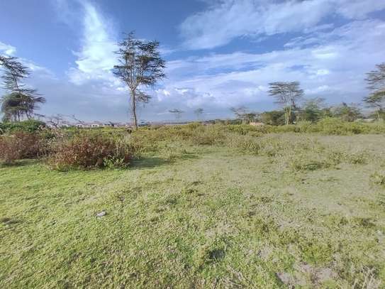 Land in Naivasha image 10