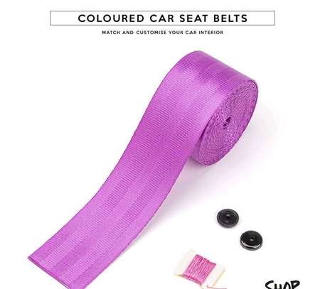 2pcs- Coloured Safety Belts In Kenya image 3